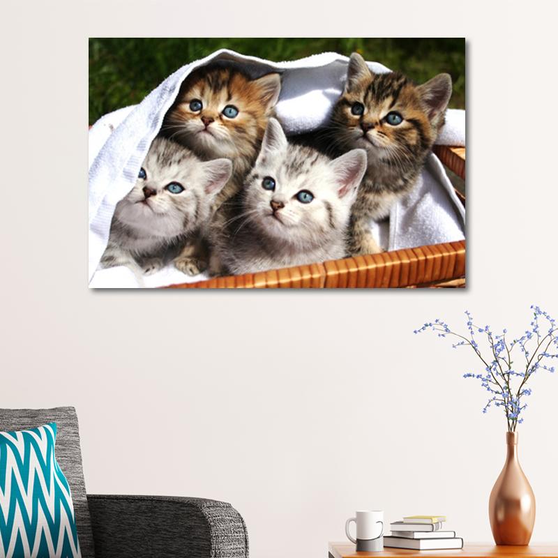 Sepetteki Kedi Yavrusu Tabloları Kedi Tabloları Hayvan Tabloları