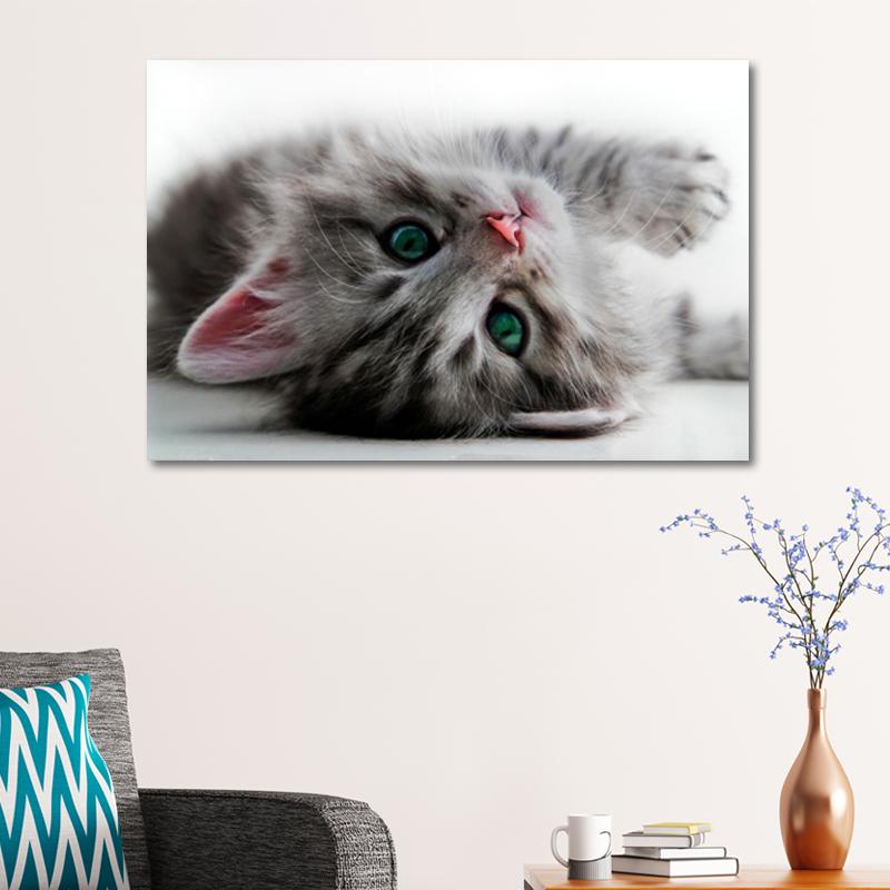 Sevimli Kedi Tablosu Kedi Tabloları Hayvan Tabloları